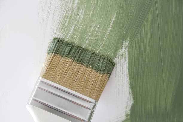 Mold Remediation for Vacation Homes in Winthrop Harbor, IL
